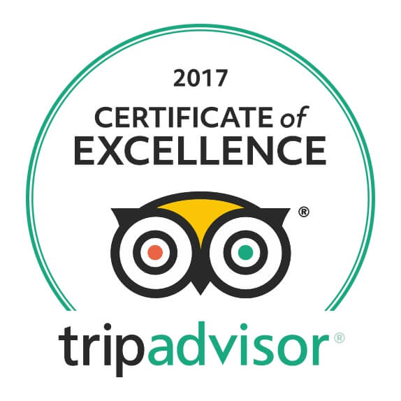 Certificate of Excellence 2024